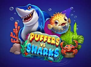 Puffers Vs Sharks